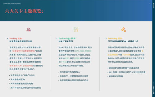2021年營銷達人策劃指南攻關(guān)冊 應(yīng)對不確定性的實戰(zhàn)策略